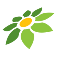 BOKEPINDOH